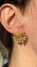 Load image into Gallery viewer, LAPILLI EARRINGS